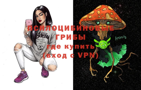 ПСИЛОЦИБИНОВЫЕ ГРИБЫ Пестово