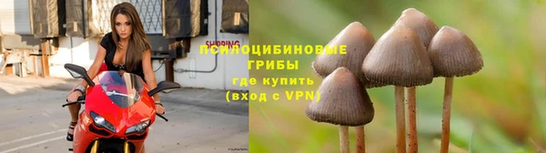хмурый Баксан