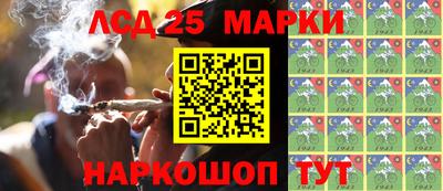 ГАЛЛЮЦИНОГЕННЫЕ ГРИБЫ Гатчина