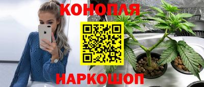 ГАЛЛЮЦИНОГЕННЫЕ ГРИБЫ Гатчина