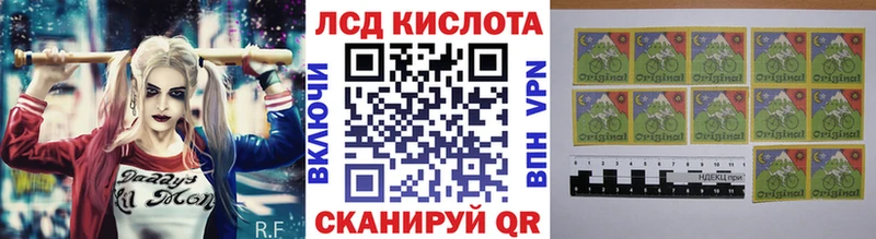 купить наркоту Сегежа площадка телеграм Марки N-bome 1500мкг hydra ссылка