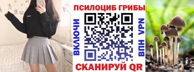 Галлюциногенные грибы Cubensis  блэк спрут онион  Сегежа  купить наркоту 