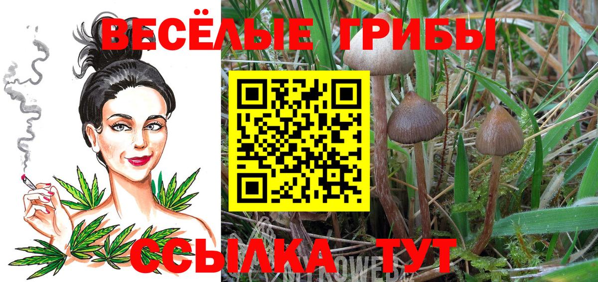 Галлюциногенные грибы MAGIC MUSHROOMS  Вход с VPN  Сегежа  Галлюциногенные грибы мухоморы 