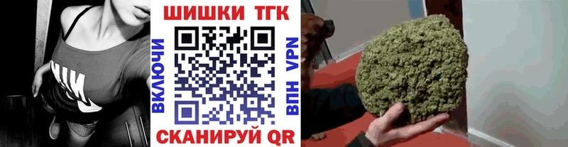 Конопля план  darknet Telegram  Сегежа 